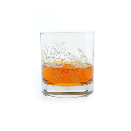 Flora Fox Line Art Rock Glass 10.25oz / 290ml - 6pk
